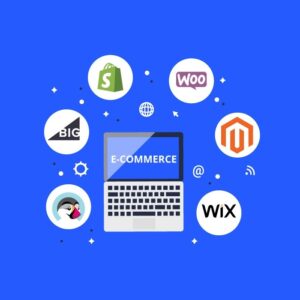 E-Commerce Platform (Custom Online Store Builder)